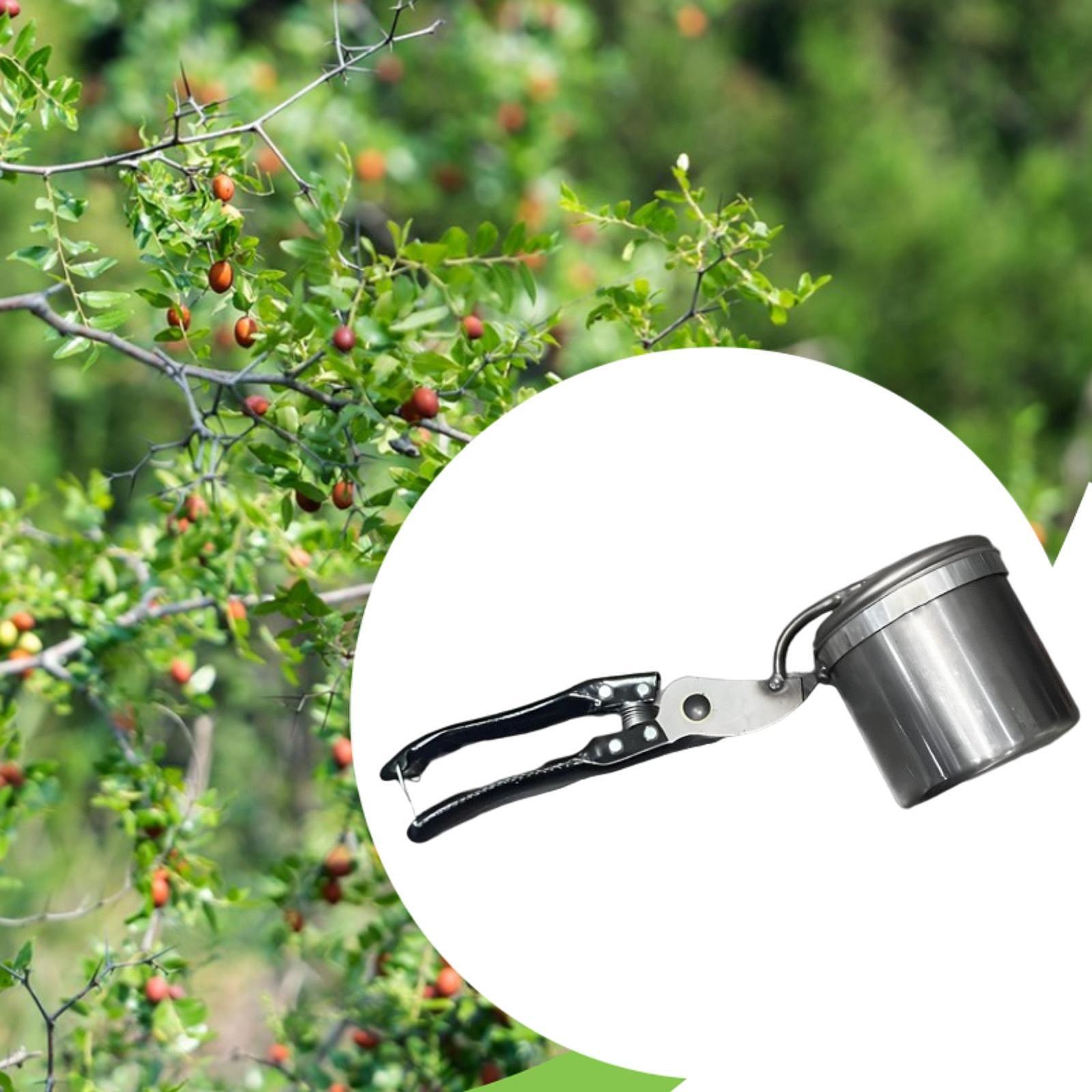 Fruit Picker, Easy to Use Port - Gardening Tools Uses avis et prix
