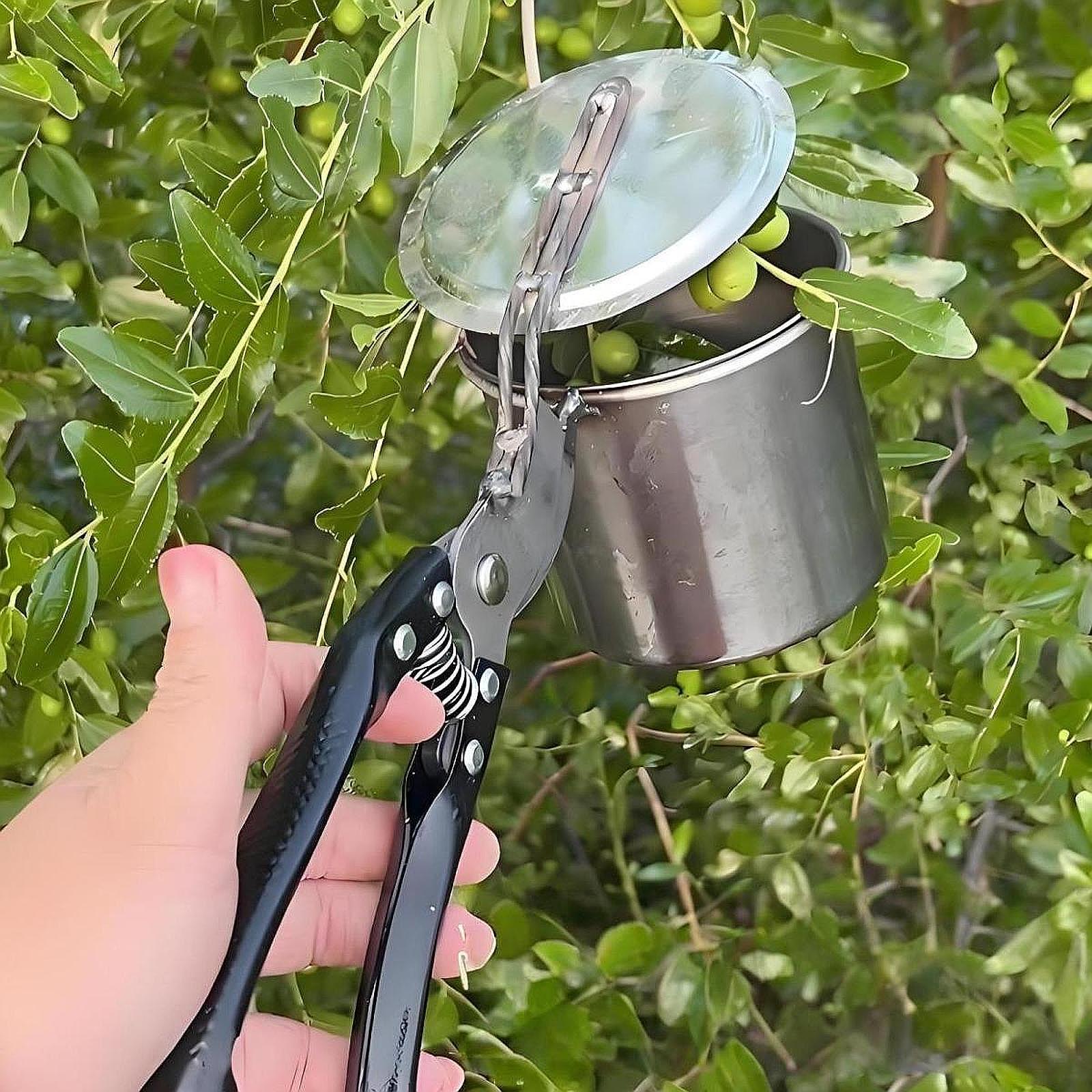 Fruit Picker, Easy to Use Port - Gardening Tools Uses avis et prix