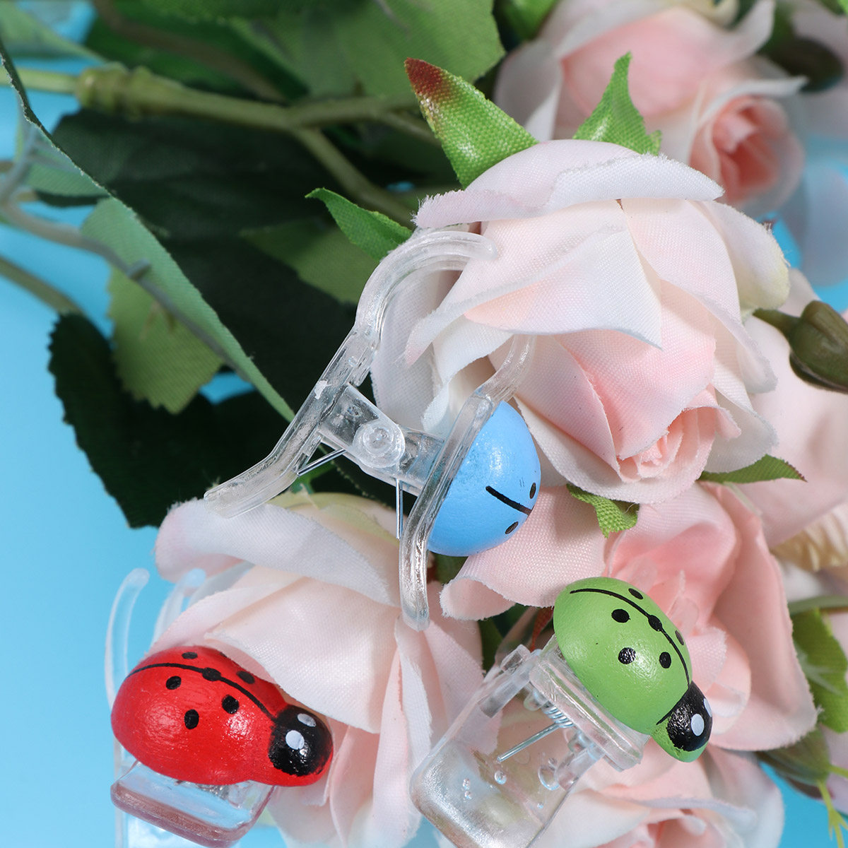 30Pcs Orchid Clips 6 Colors Mu - Gardening Tools Uses avis et prix
